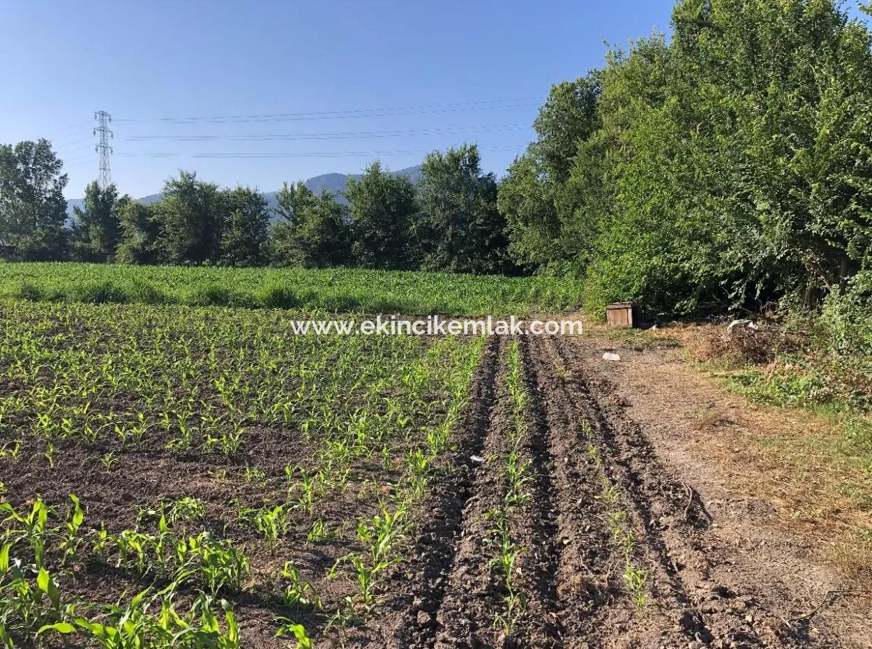 2200M2 Plot For Sale In Dalyan For Sale Dalyan