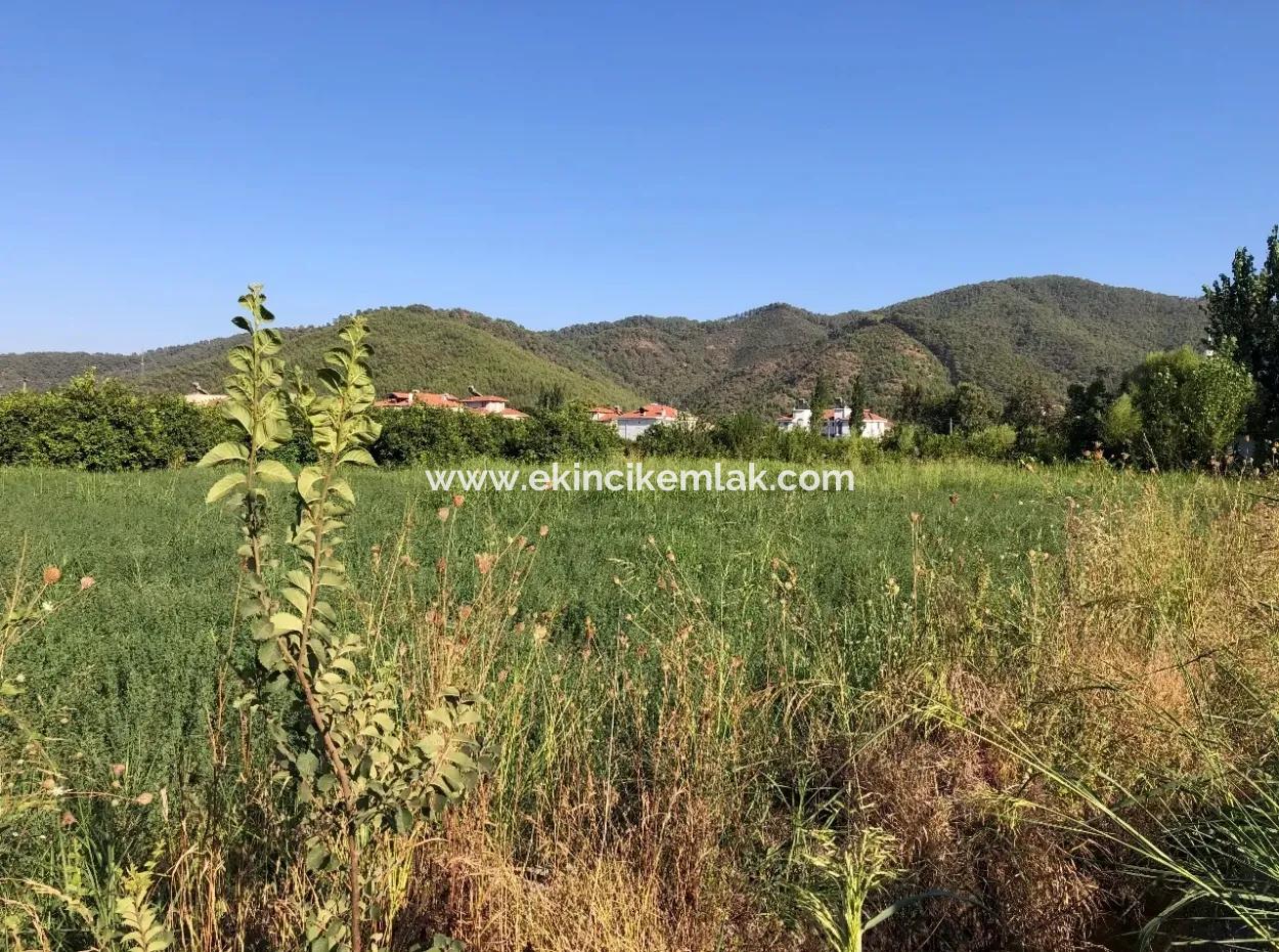 Land For Sale In The Center 891M2 Land For Sale