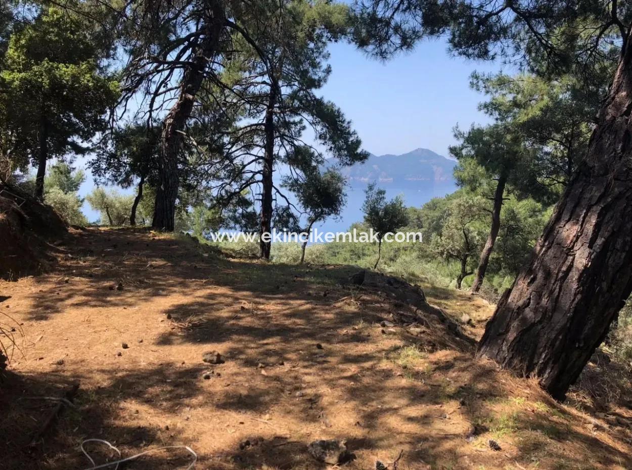 7034M2 Field For Sale With Sea View In Çandir