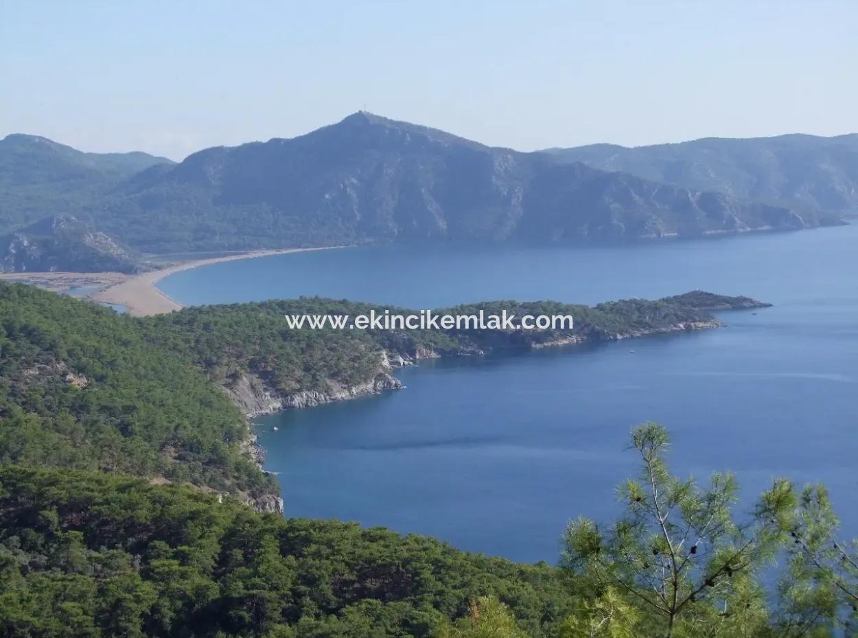 Real Estate Bargain Plot For Sale With Sea Views In Çandır Call In Ekincik