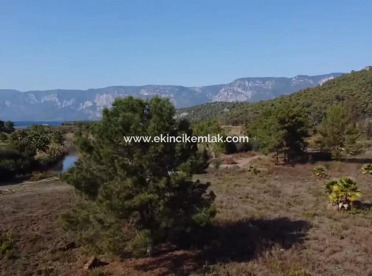 Land Land For Sale In Çamlıda Marmaris Çamlıda Sea View 11720M2 Land For Sale