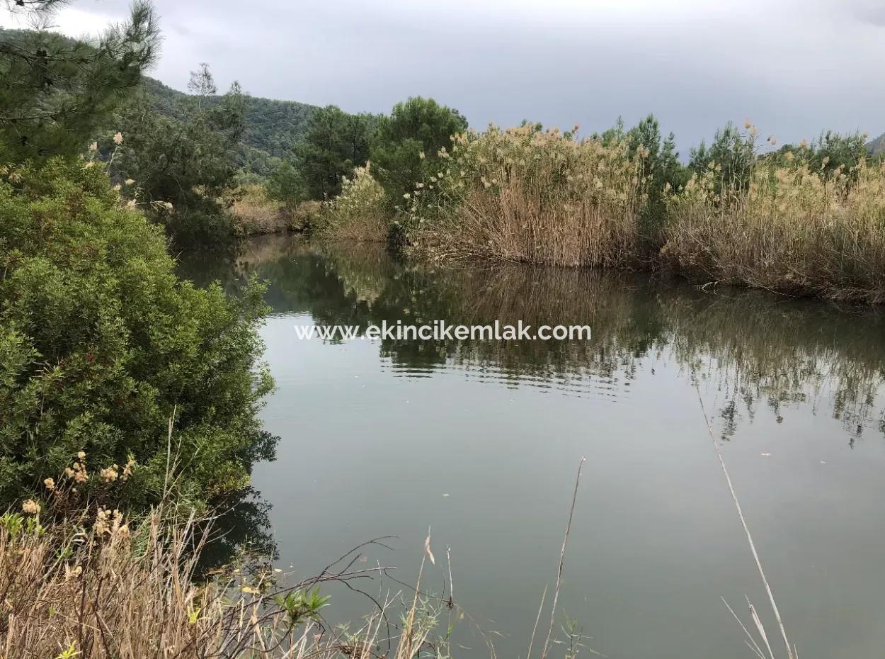 Land  For Sale Zero To Çamlı Canal 28768M2 Land For Sale With Sea View In Camlida