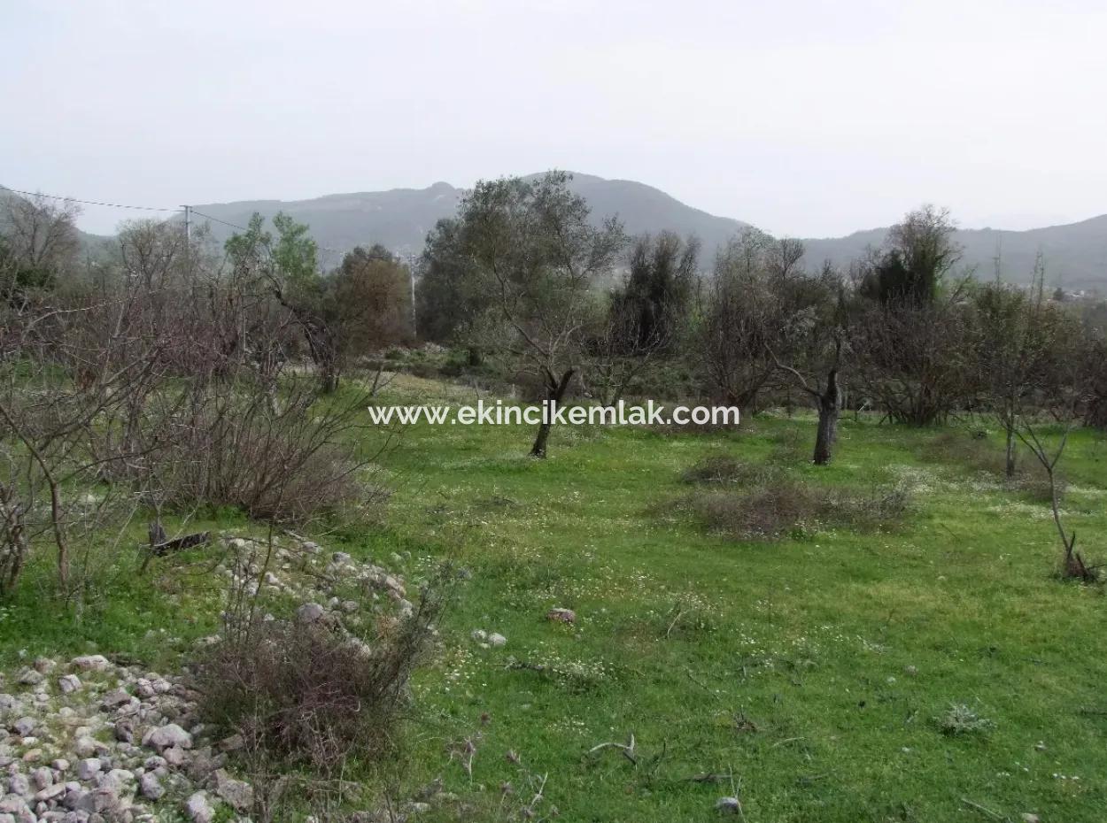 In Incirkoy Uzumlu Fethiye Plot For Sale Farm For Sale In Incirkoy