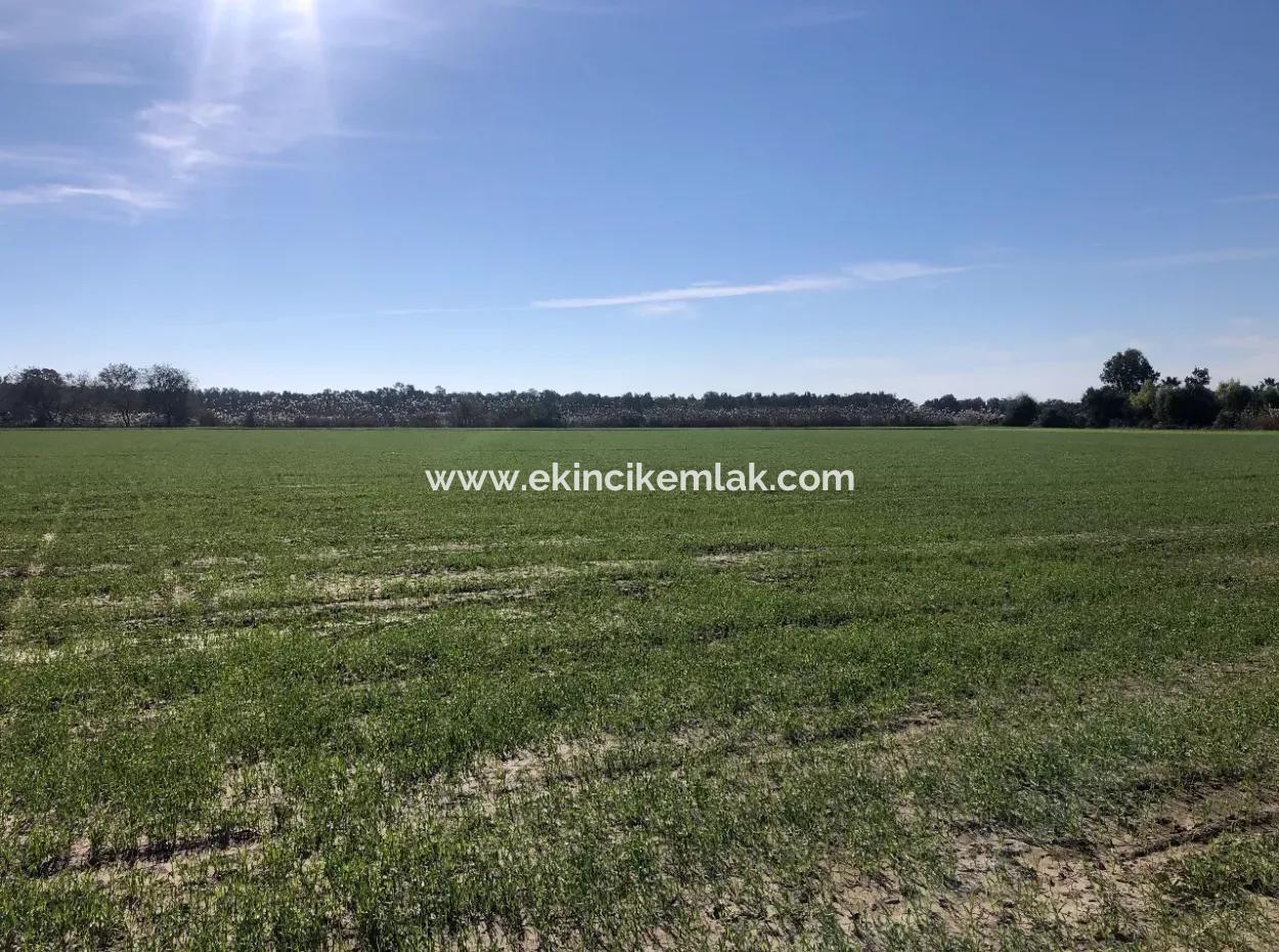 Land For Sale In Sarıgermede 30,000M2 Land For Sale With Sea View