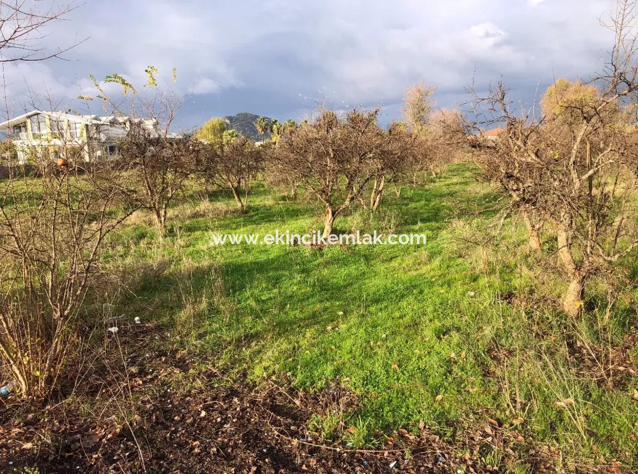 Dalyan Land For Sale Near The Center 3000M2 5% Zoning Land For Sale
