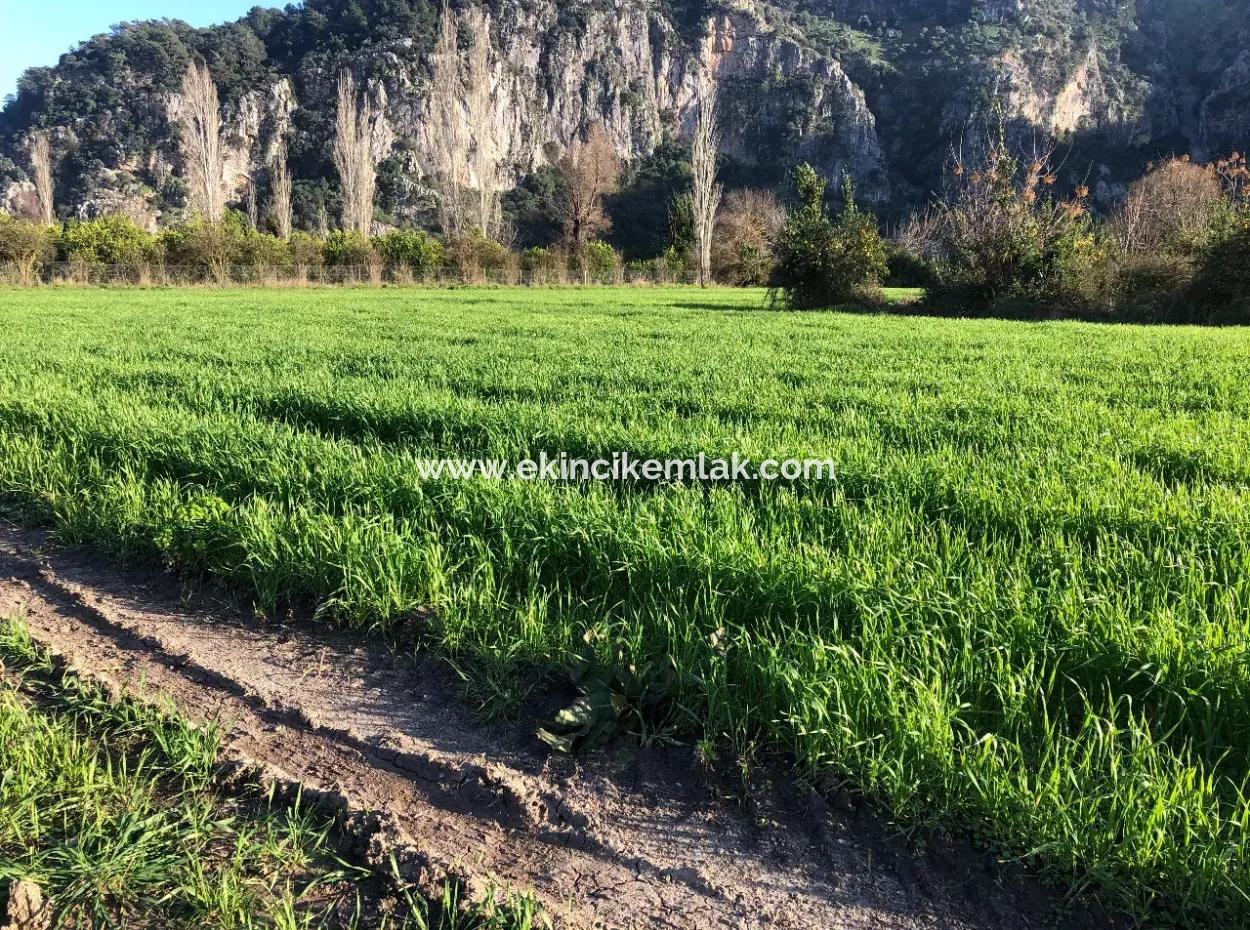 Land For Sale Marmarli 1500M2 Land For Sale