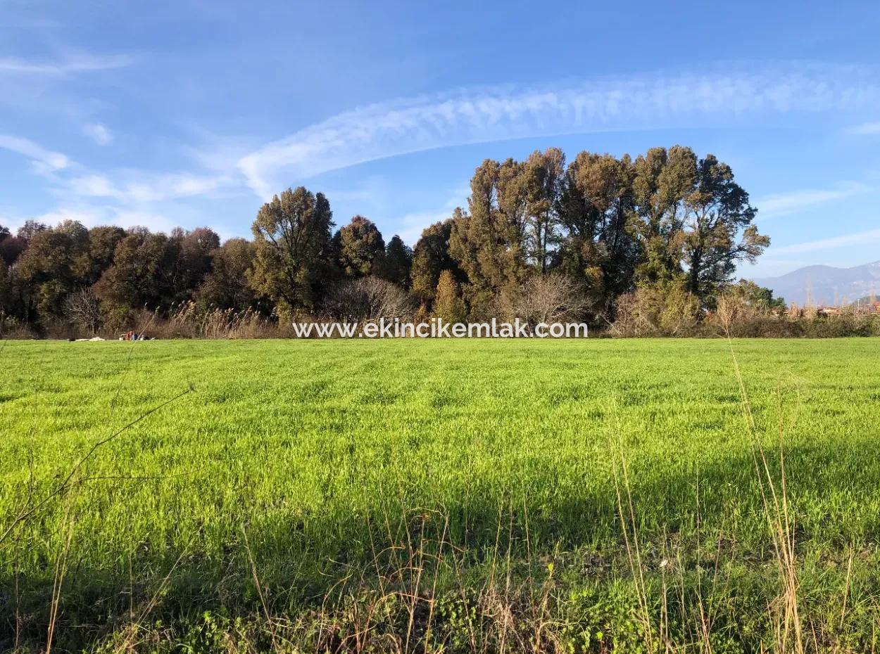 Land For Sale Marmarli 1500M2 Land For Sale