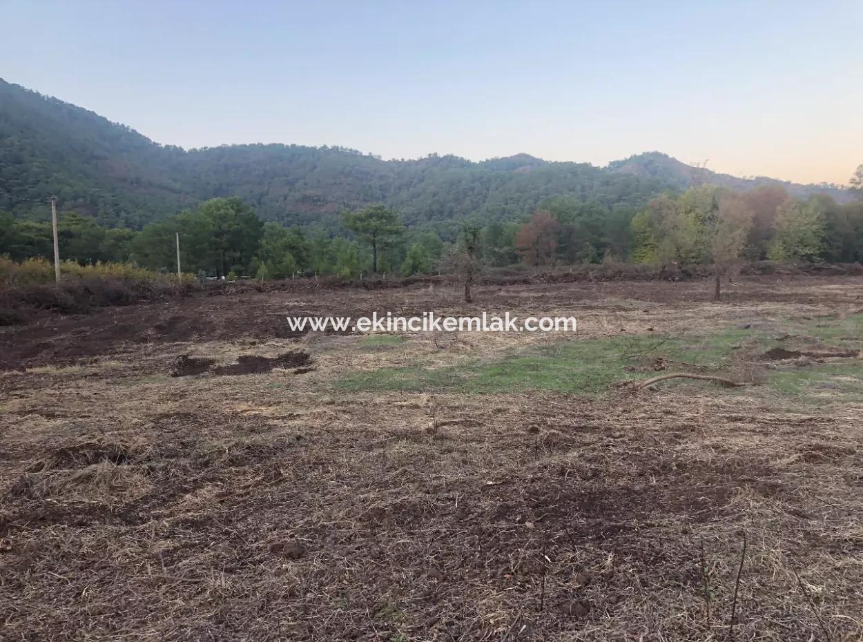 Sultaniye Land For Sale Near 10577M2 Lake Land For Sale