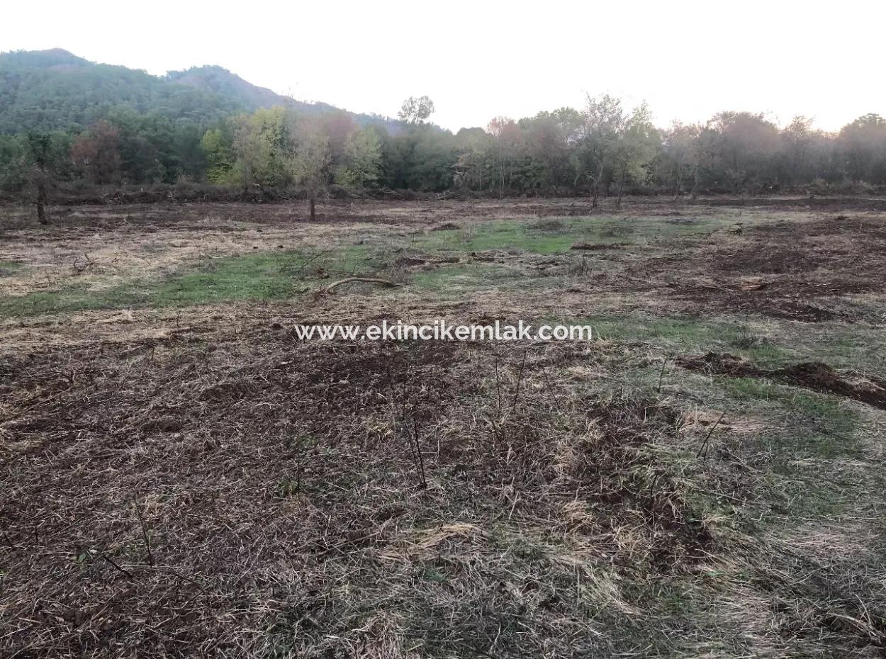 Sultaniye Land For Sale Near 10577M2 Lake Land For Sale
