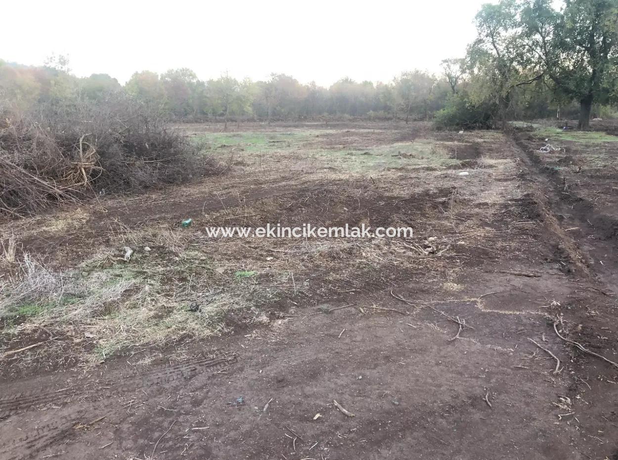 Sultaniye Land For Sale Near 10577M2 Lake Land For Sale