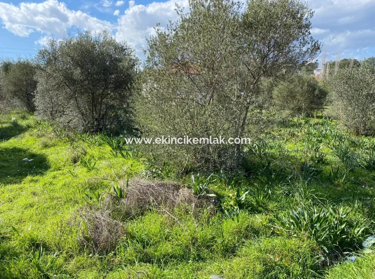 401M2 Land For Sale In Ortaca Cumhuriyet Neighborhood