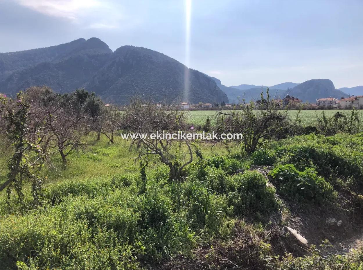 5500M2 Land For Sale In Dalyan