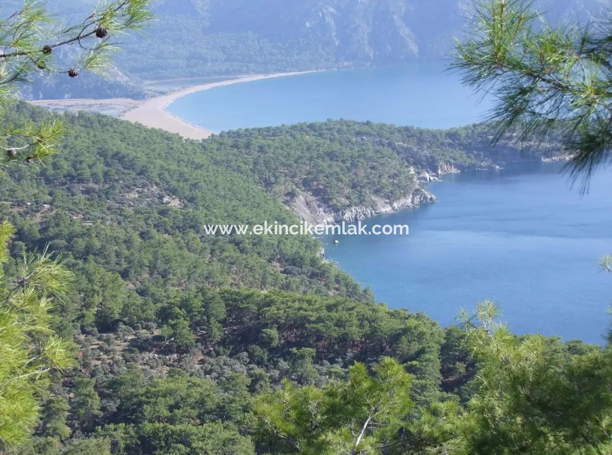 Real Estate Bargain Plot For Sale With Sea Views In Çandır Call In Ekincik