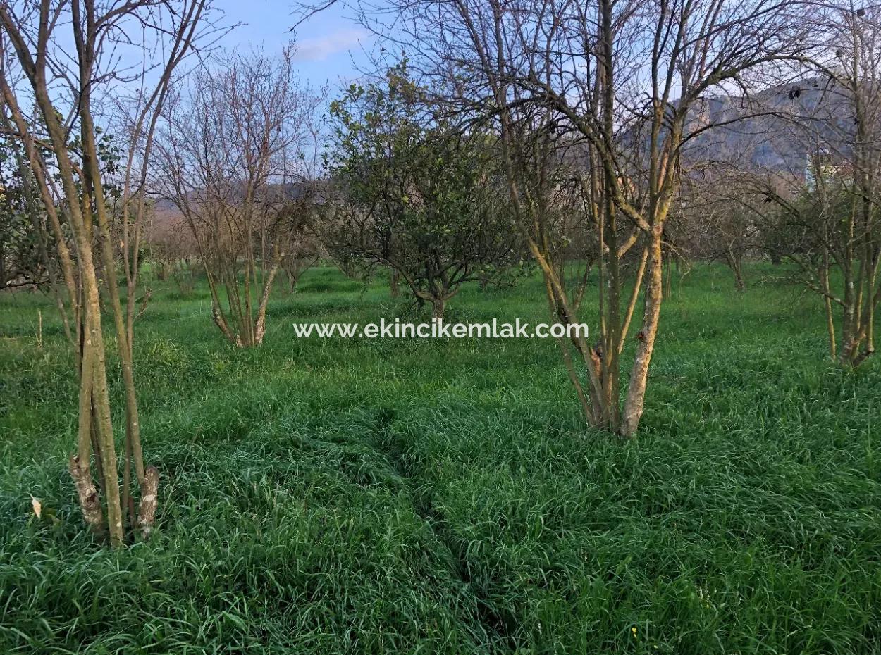 In Okçular Land For Sale 4707M2 Land For Sale