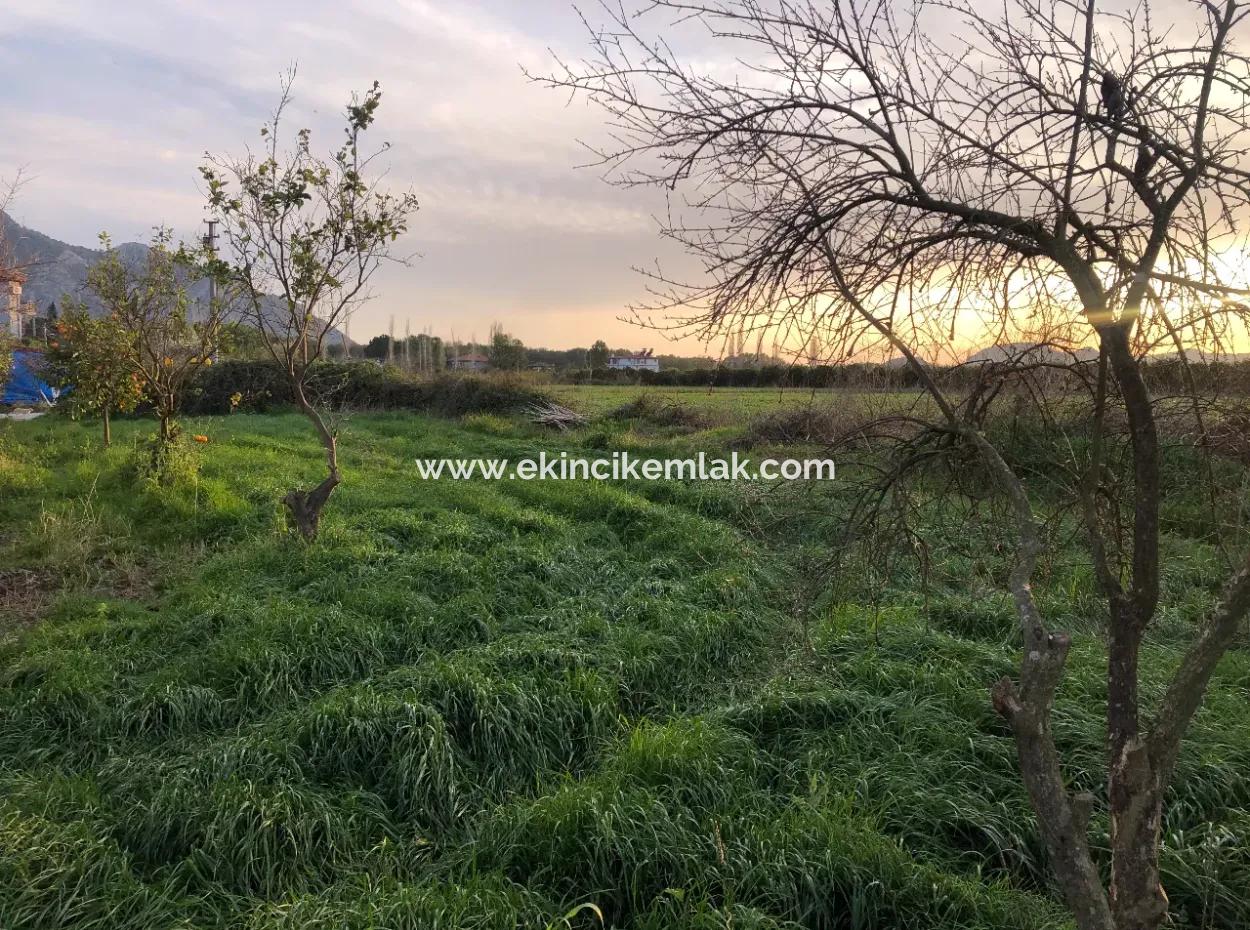 In Okçular Land For Sale 4707M2 Land For Sale