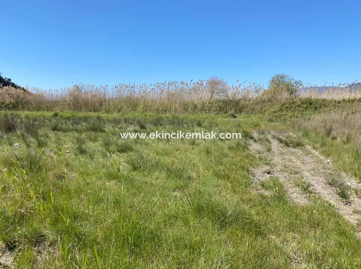 9310M2 Land For Sale In Dalyan