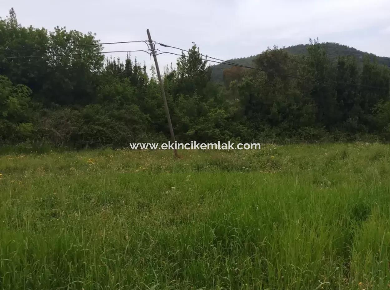 Land For Sale In Çamlida
