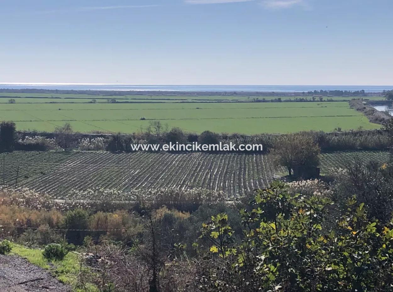 Land For Sale With Sea View Of Fevziye