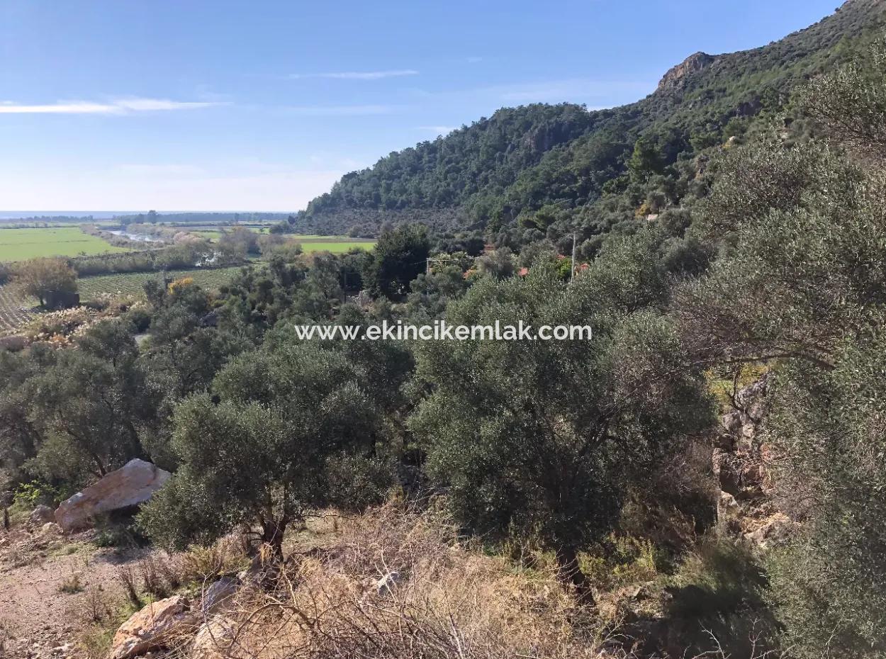 Land For Sale With Sea View Of Fevziye