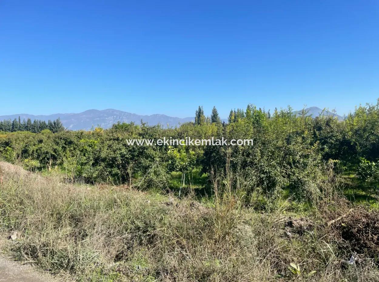 2223M2 Fields For Sale In Dalyan