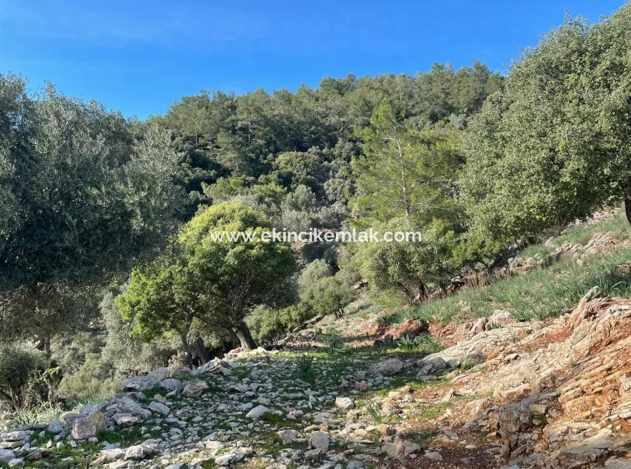 8,900M2 Field For Sale With Full Sea View In Ekincik