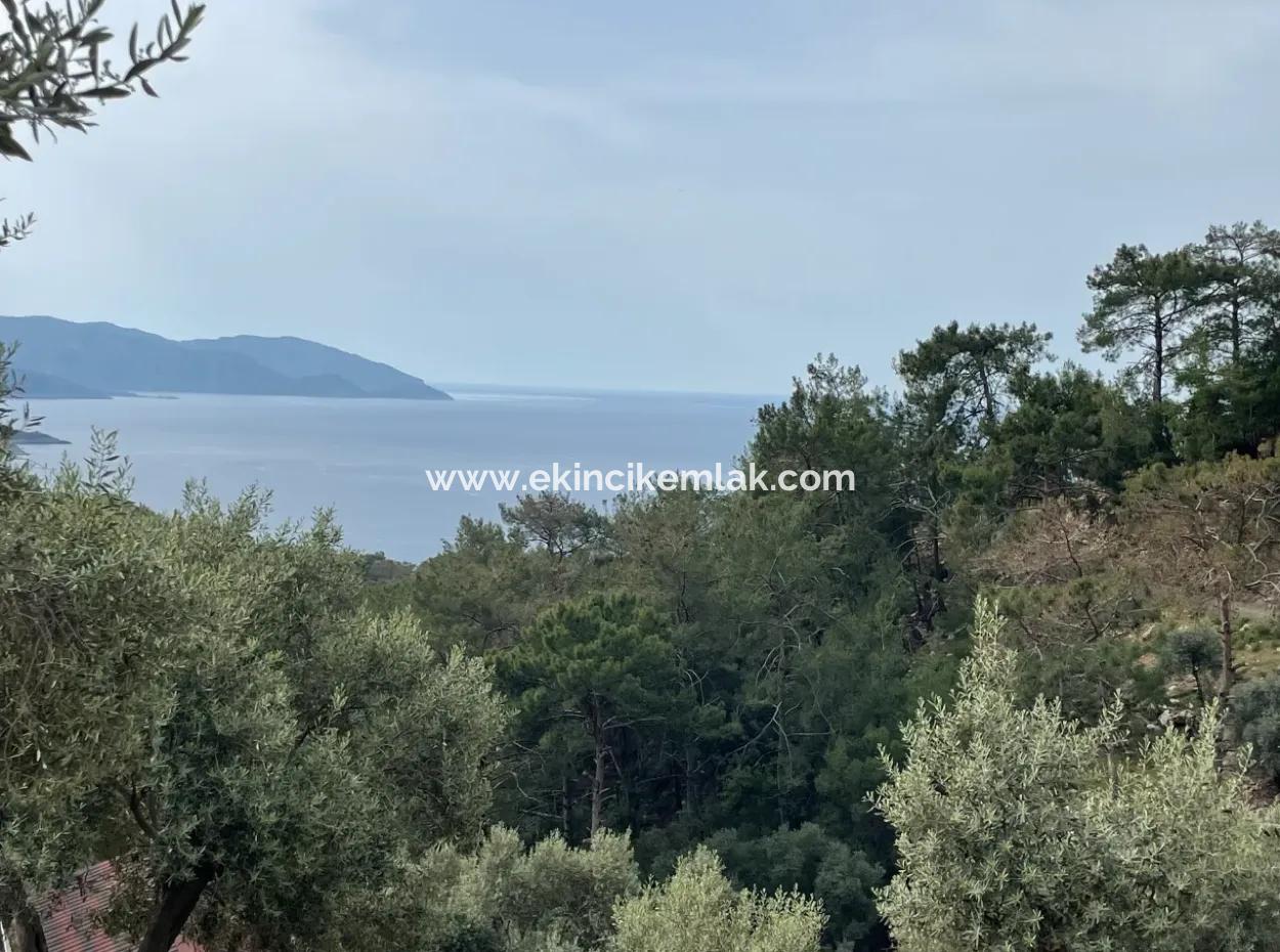 Olive House With Sea View In Ekincik Is For Sale