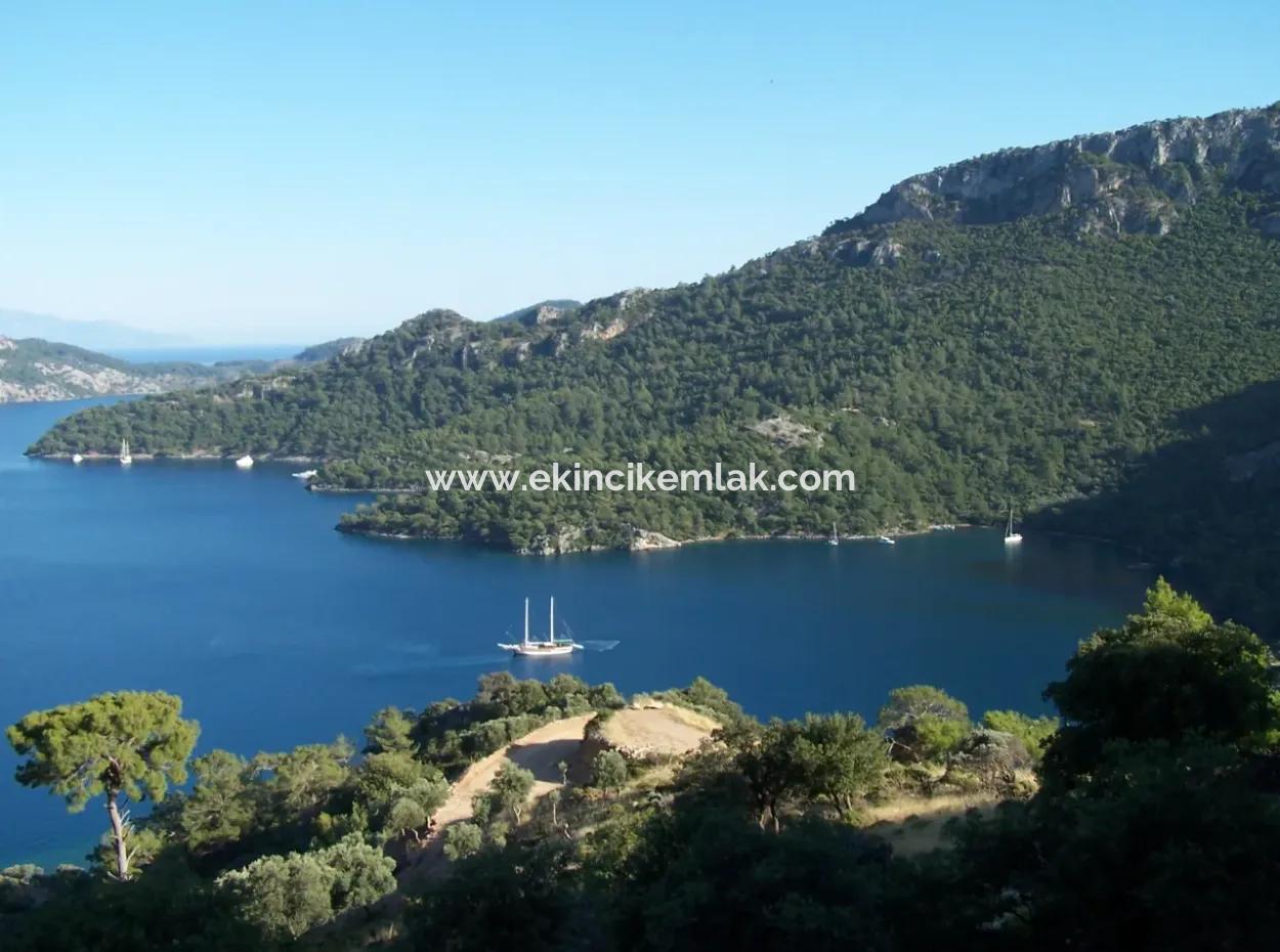 House For Sale In Sarsalada Sea View 4274M2 Plot