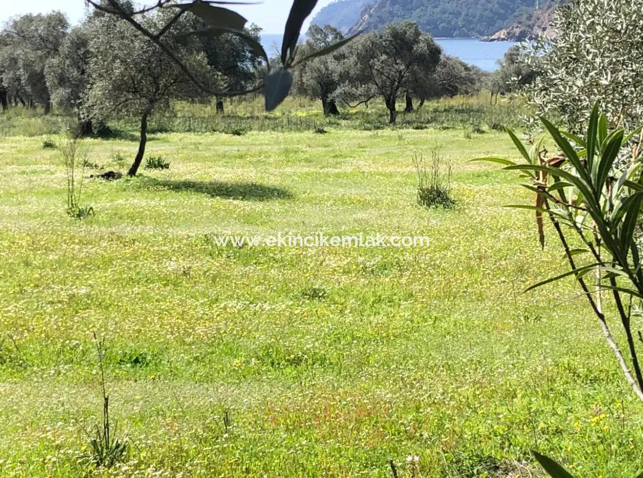 3250M2 Land For Sale In Ekincik With A View Near The Sea