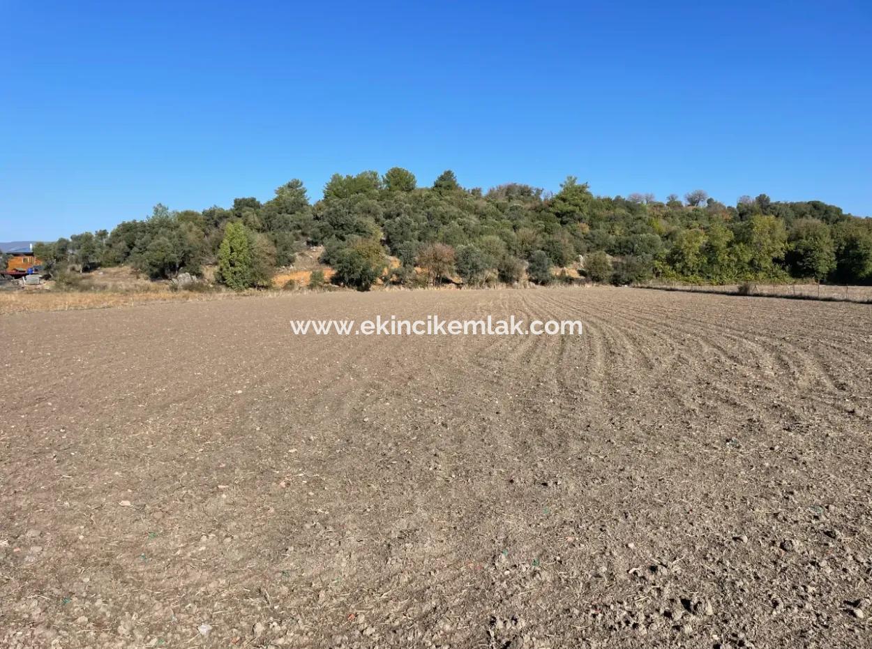 6254M2 Field For Sale Near Dalyan In Eskiköy