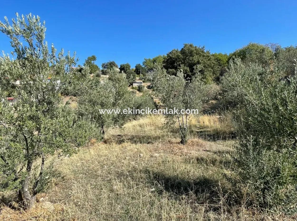 Gökbelde Full Sea View 3514M2 Land For Sale