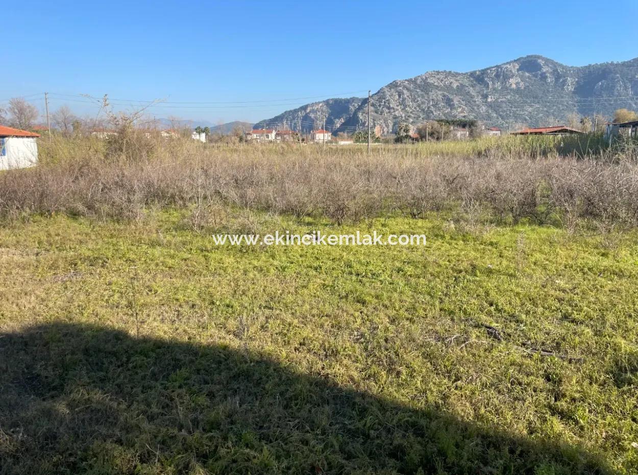 Dalyan 1000M2 Köşebaşı Land For Sale