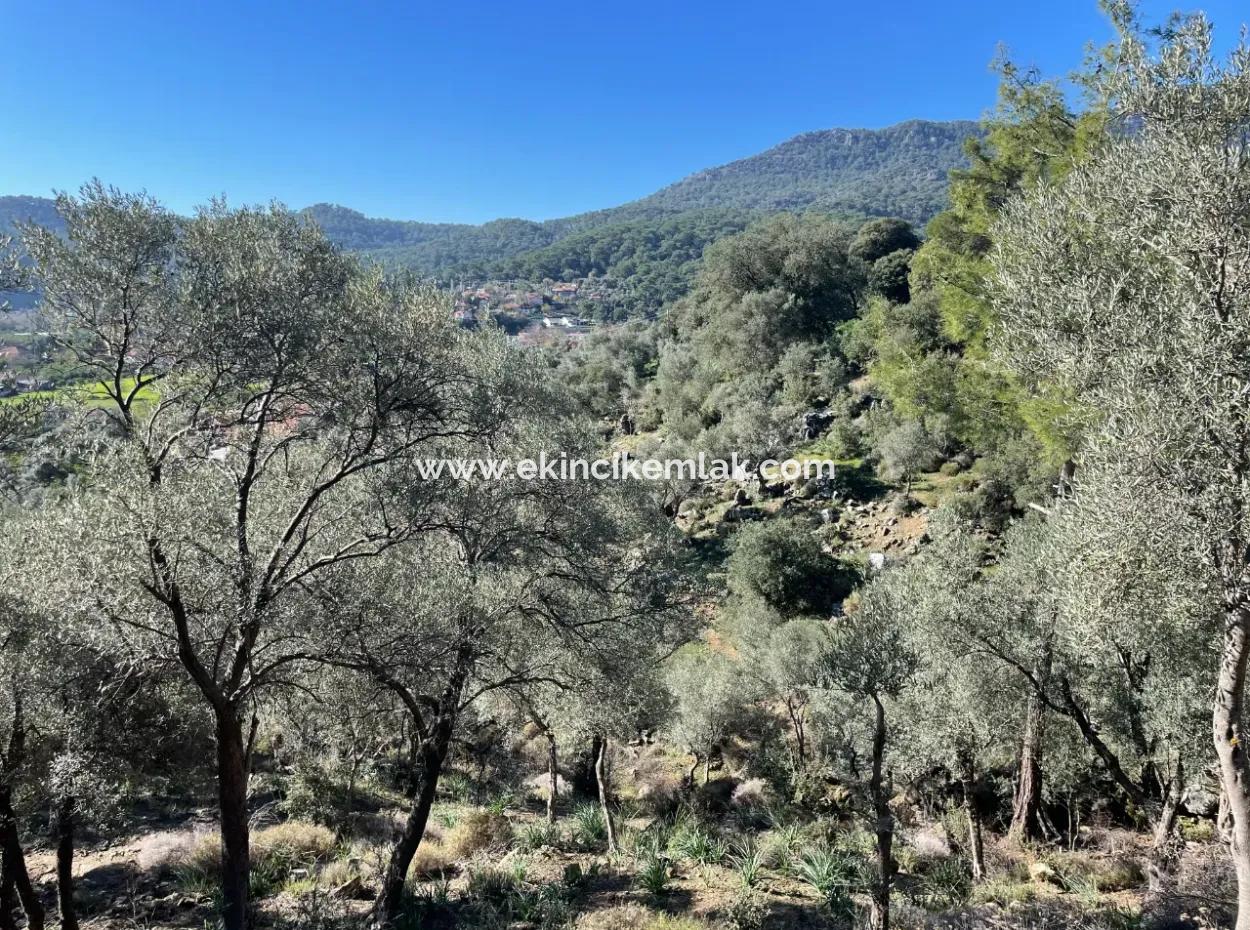 950M2 2B Field For Sale With Sea And Lake View In Çandır