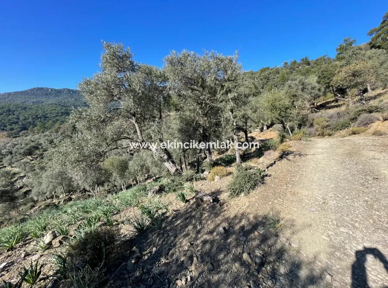 950M2 2B Field For Sale With Sea And Lake View In Çandır