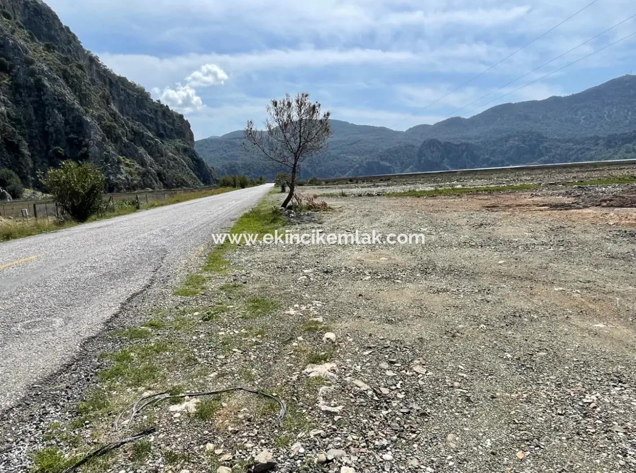 Dalyan Iztuzu Beach Road Zero 19,600M2 Field Land For Sale
