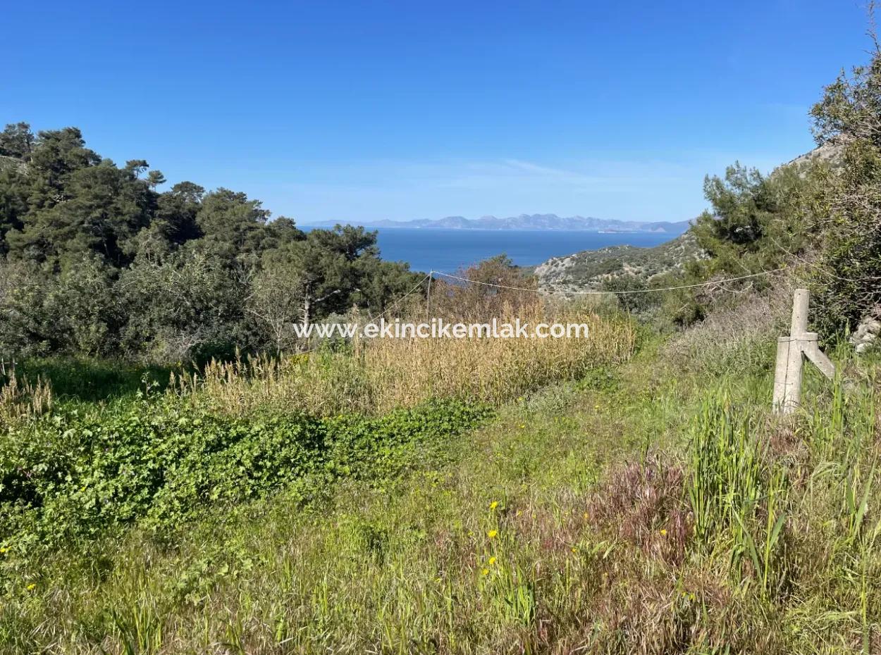 Village House For Sale In 4,400M2 Land With Full Sea View In Gökbel