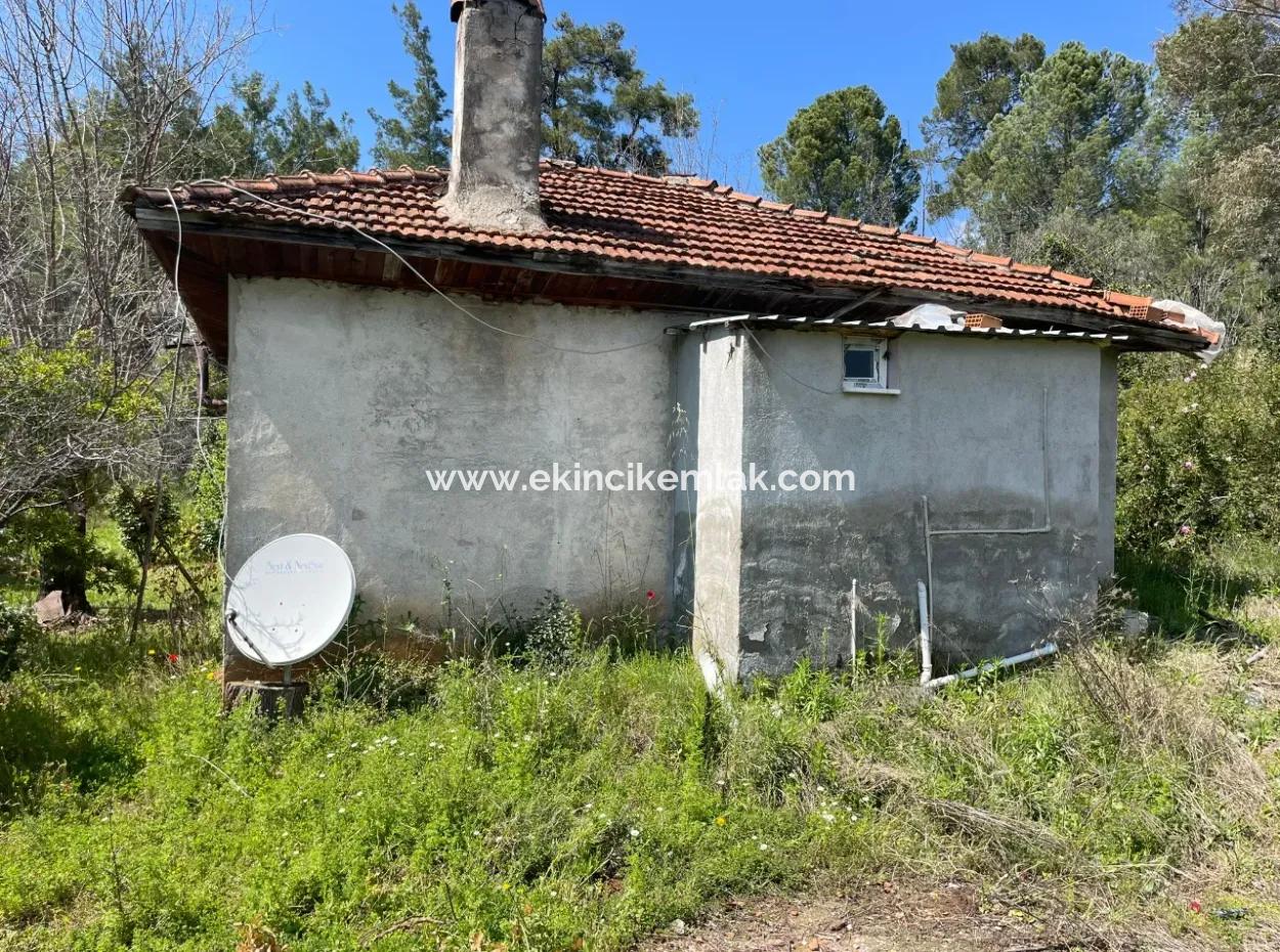Village House For Sale In 5650M2 Field In Zeytinalann