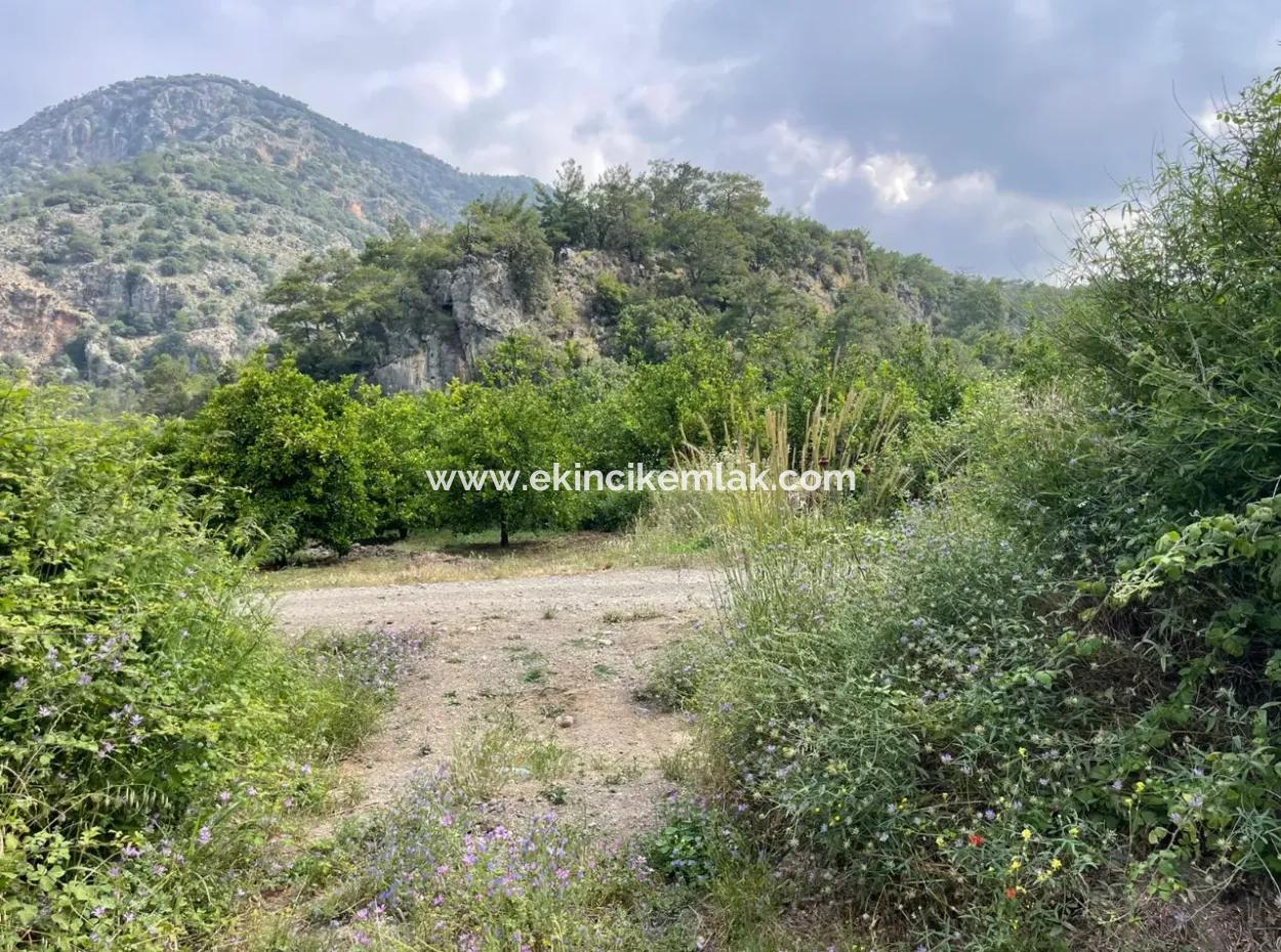 7800M2 Land For Sale At The Beginning Of Iztuzu Beach Road In Gökbel