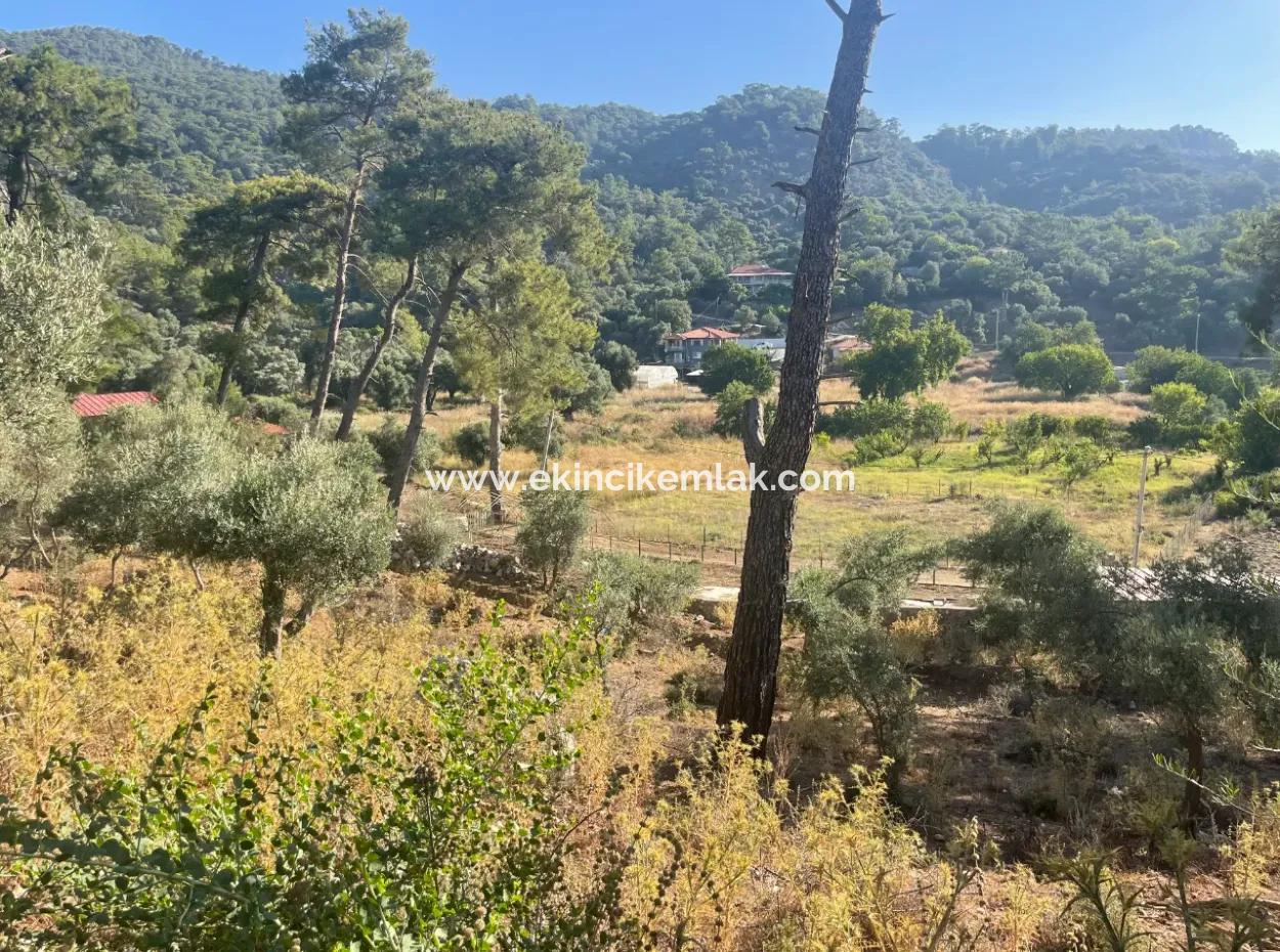 1,320M2 Field For Sale In Çandır Center By The Forest