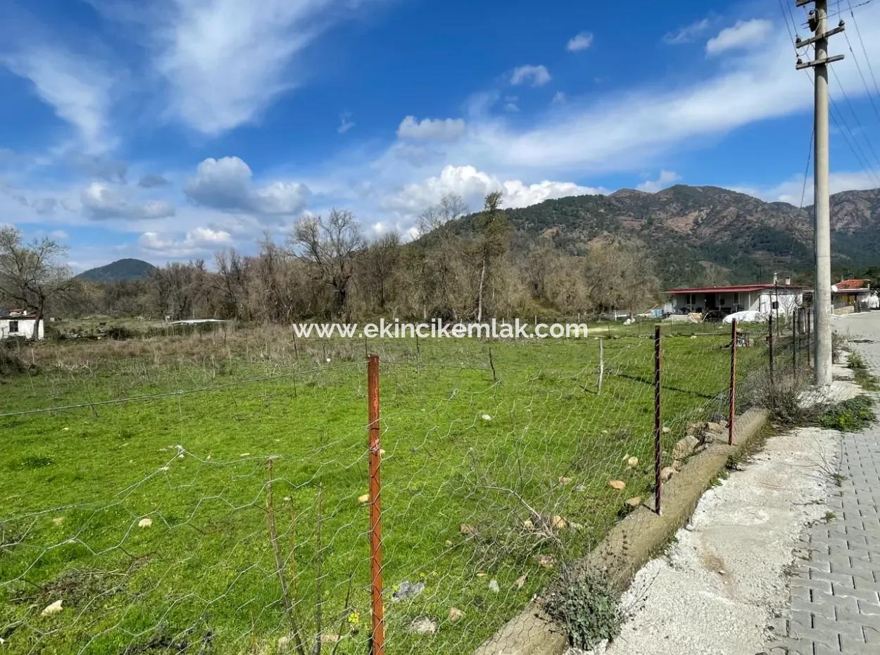 Sultaniye Büyükkaraç Mahallesin For Sale Field