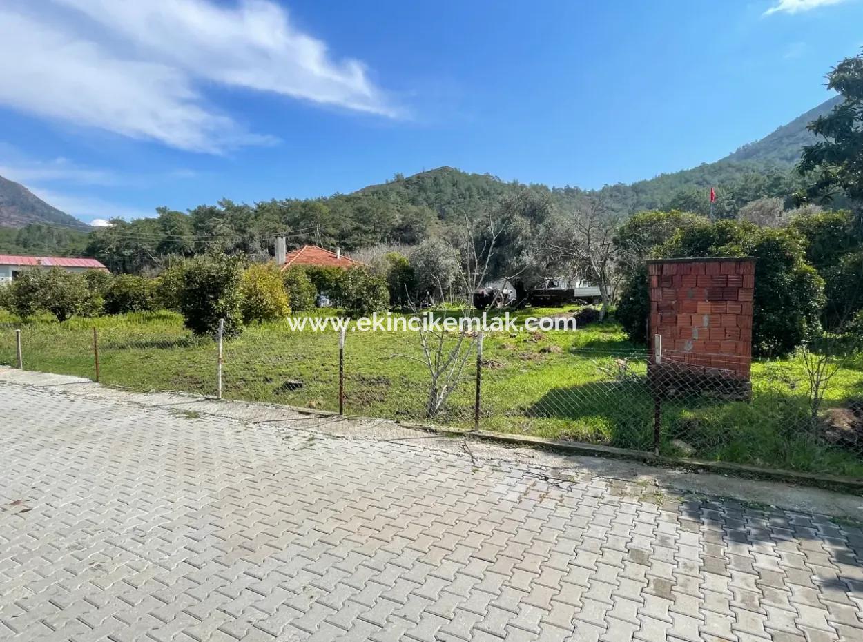 Sultaniye Büyükkaraç Mahallesin For Sale Field