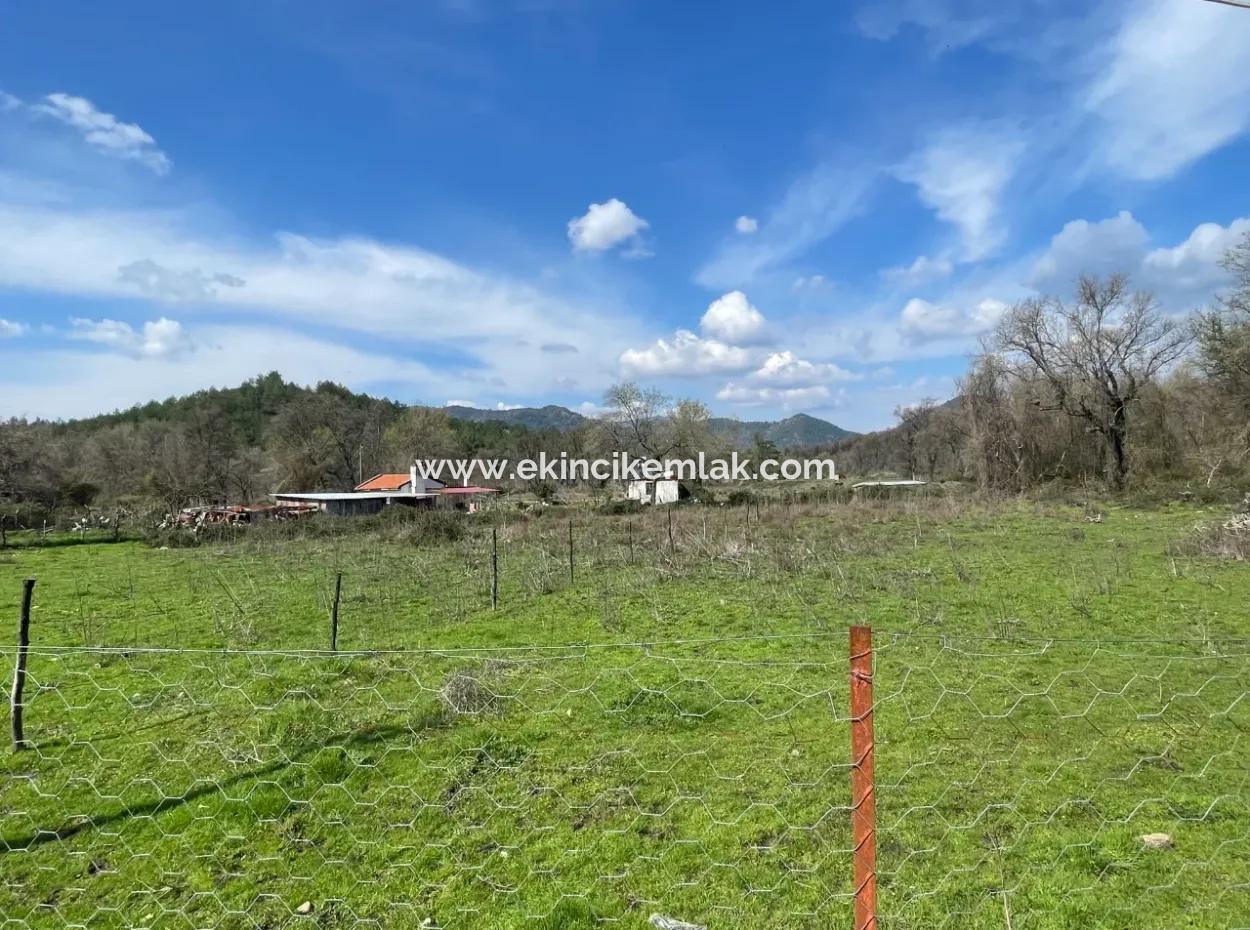 Sultaniye Büyükkaraç Mahallesin For Sale Field