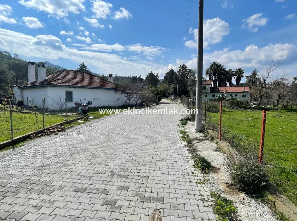 Sultaniye Büyükkaraç Mahallesin For Sale Field