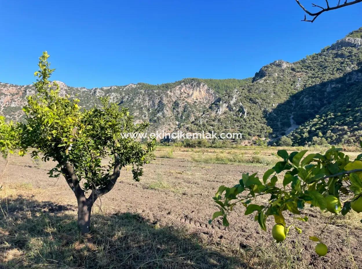 Land For Sale In Dalyan Close To The Center Of 6600M2