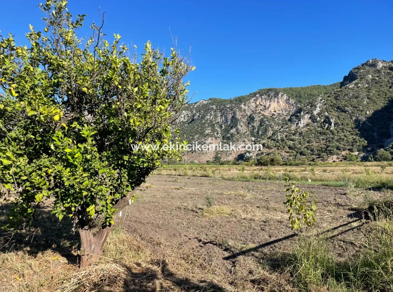 Land For Sale In Dalyan Close To The Center Of 6600M2