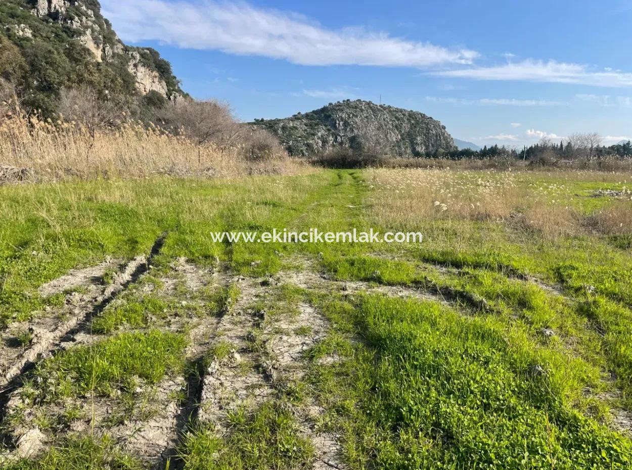 6800 M2 Land For Sale In Dalyan With 5% Residential Zoning