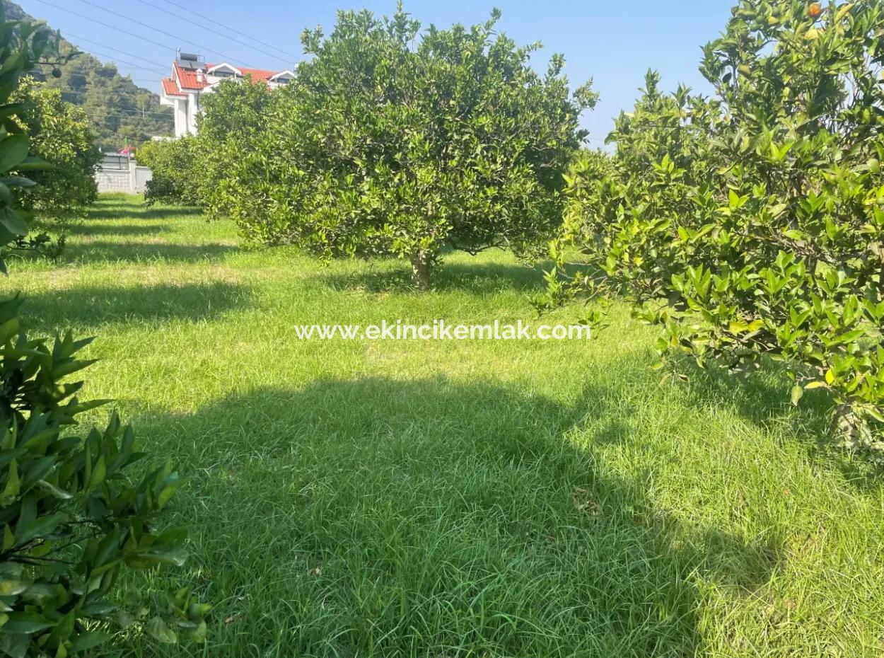 Land For Sale In Gulpinar, Dalyan 722M2