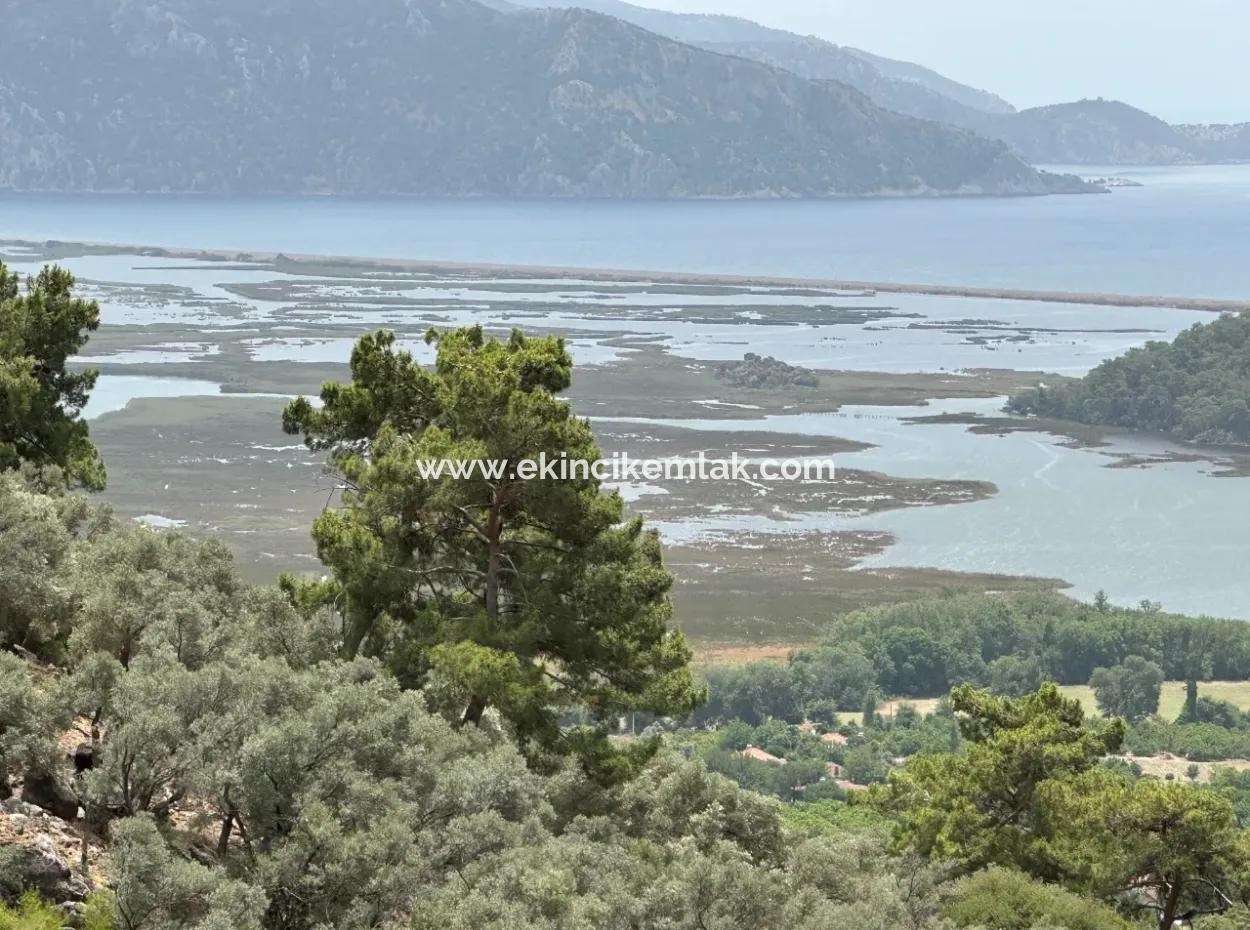 Land For Sale In Çandır With Lake Sea View