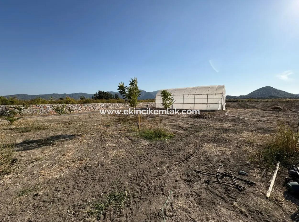 19.663M2 Farm Land And House For Sale In Eskiköy