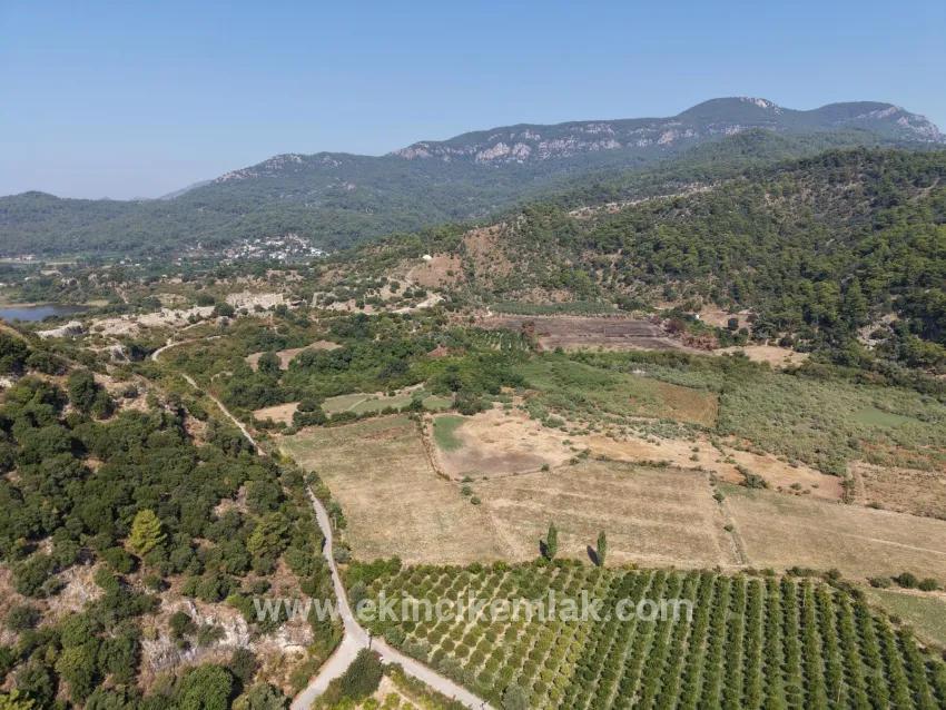 Село Köyceğiz в районе Çandır, у канала, 20.000м2 продажа поля