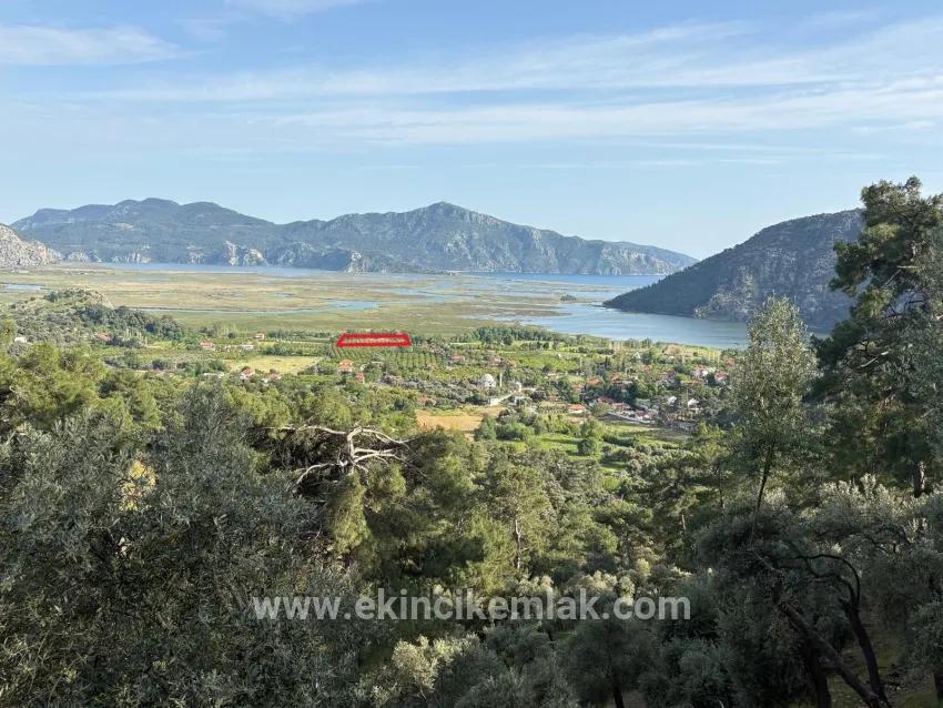 Для продажи Поле в Çandır Köyceğiz - Под Поле застройку - 1.252 m²